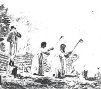 Print showing enslaved workers