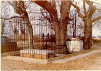 Photo - Tomb of Custis
