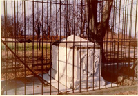 Photo - Custis Tomb