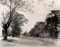 Black and White Photograph - Duke of Gloucester Street