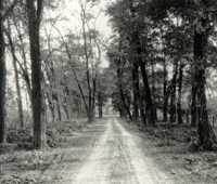 Photograph of Carter's Grove