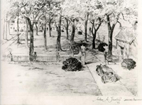 Drawing by Arthur A. Shurtleff, Landscape Architect