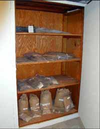 Photo of fragments in storage