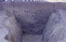 Figure 3 (above). Profile of Kendall-Gardner sawpit at the end of 2001. Note the V-shaped profile of the pit, and the large number of objects in the remaining backfill.