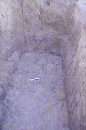 Figure 4 (right). Photograph showing the east end of the excavated sawpit. The bottom of the pit was clearly definable.