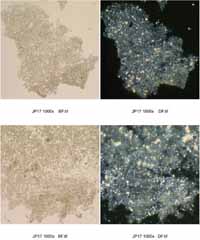 Microscopy Images