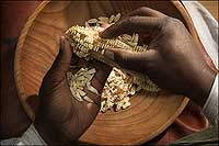 Interpreter Robert Watson's fingers shell a dried cob of corn, his fingers prising away the kernels into a wooden bowl.