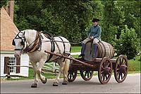 Ben, an American Cream draft horse, does the heavy lifting, or pulling, for Joyce Henry of Colonial Williamsburg's coach and livestock program, perched on a water wagon in the Historic Area.