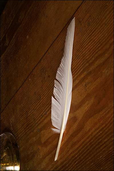 real feather pen