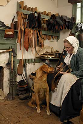 Never mind the old saw about the use of dog skin for shoe leather, Harrison, the pet of journeyman Donna Woodward, is in no danger of being turned into a pair of brogans.