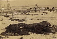 The aftermath of Wounded Knee.
