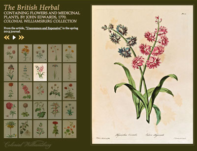 The British Herbal Slideshow
