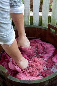 Rinsing the wool is a “hands on” process.