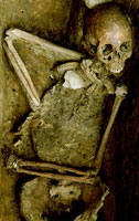 Skeleton of the “Arrow Point Boy,” hastily buried at Jamestown Fort in 1607. His bones tell of the hard, brief life for many settlers in Virginia.