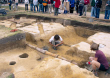 Archaeologists work on a dig, while visitors watch.