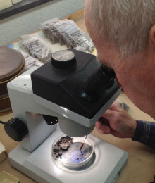 An expert looks at seeds through a microscope.