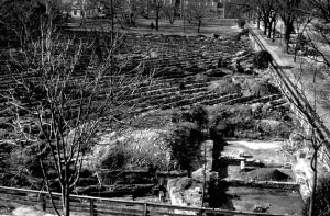 Black-and-white photo of a cross-trenched field.